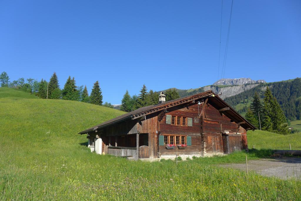 Hami Villa Adelboden Cameră foto