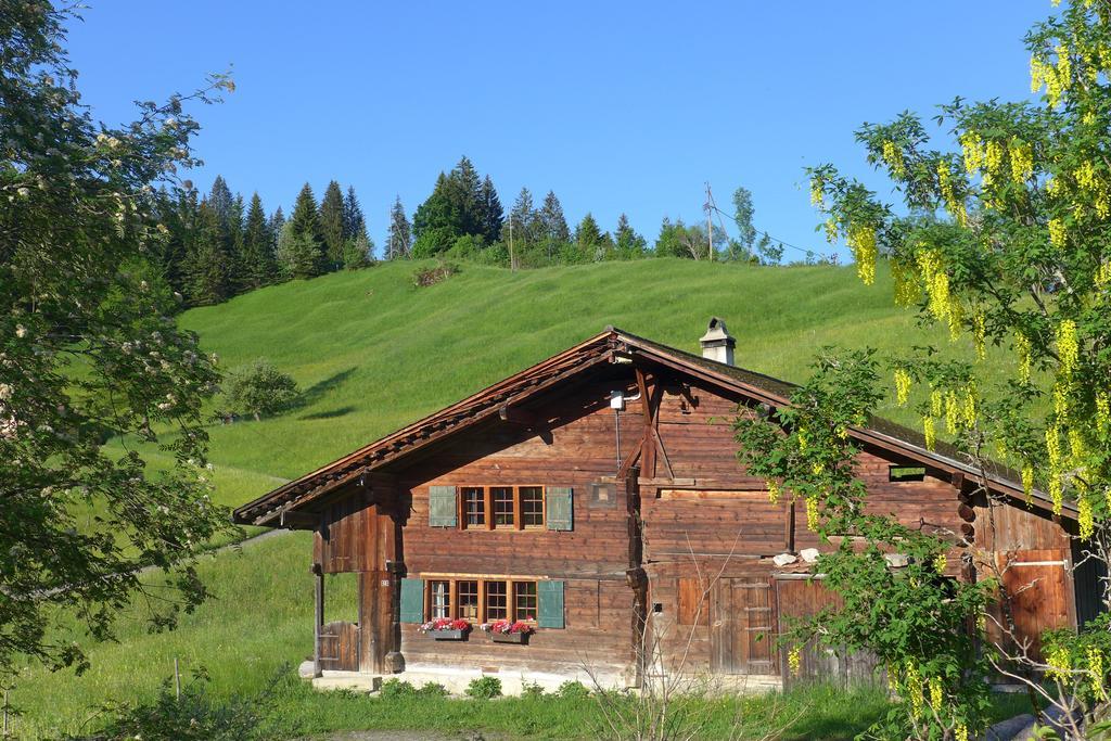 Hami Villa Adelboden Cameră foto