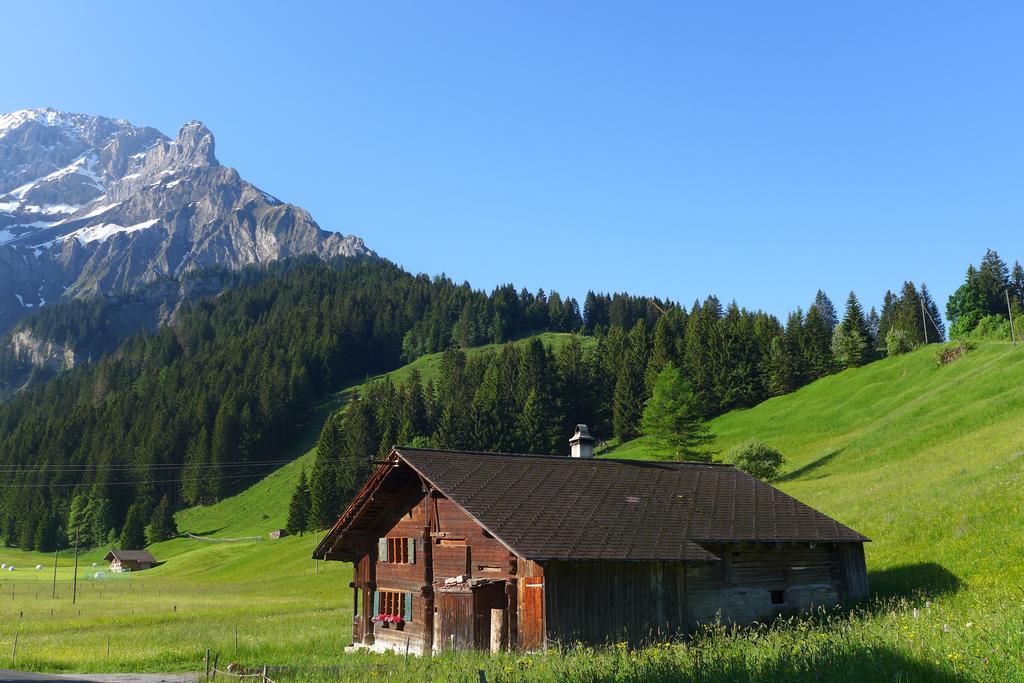 Hami Villa Adelboden Cameră foto