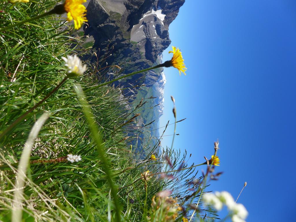 Hami Villa Adelboden Cameră foto