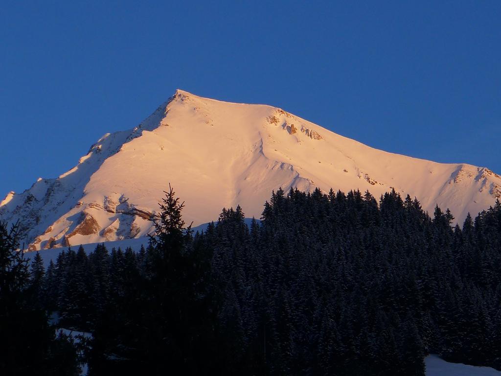 Hami Villa Adelboden Cameră foto