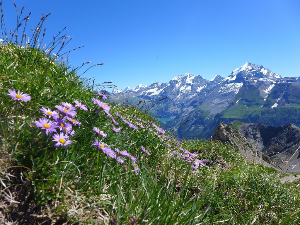 Hami Villa Adelboden Cameră foto