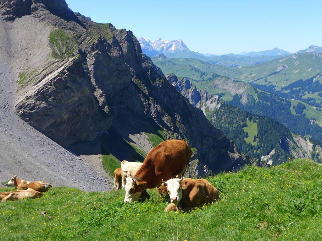 Hami Villa Adelboden Cameră foto