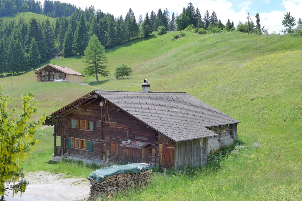 Hami Villa Adelboden Cameră foto