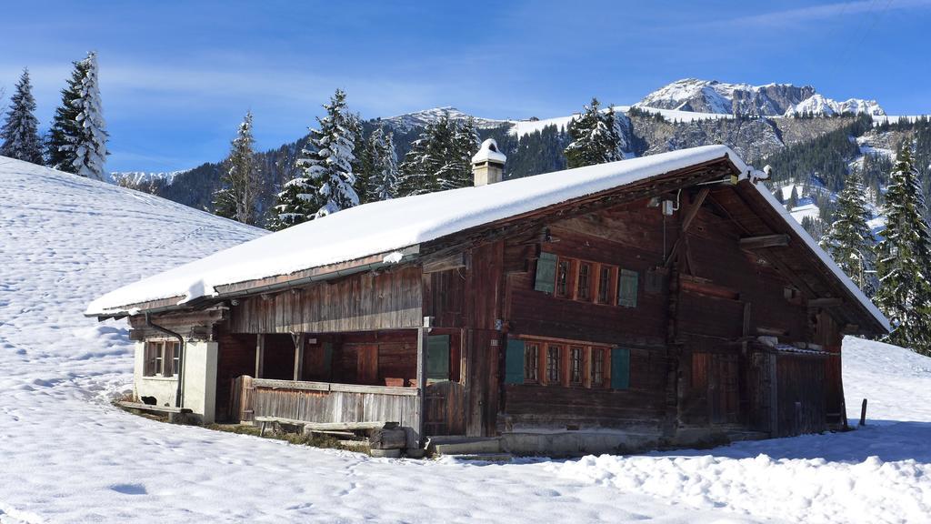 Hami Villa Adelboden Cameră foto