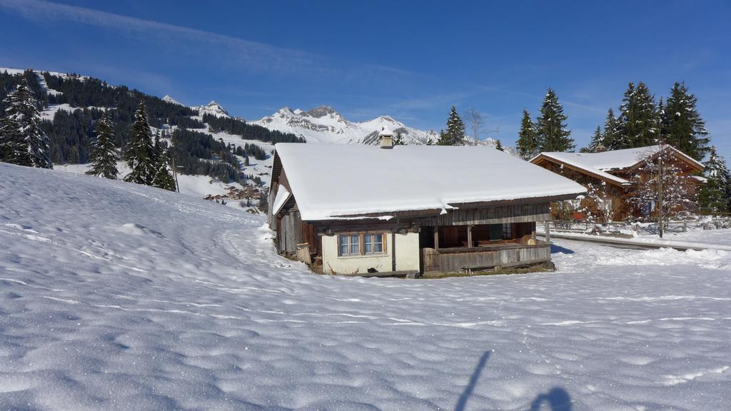 Hami Villa Adelboden Cameră foto